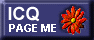 Page Me with ICQ